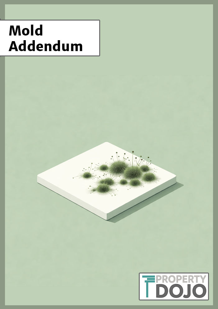 Mold Addendum